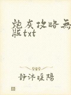 炮灰攻略无删减版txt封面