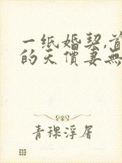 一纸婚契,首席的天价妻无删减全文