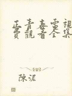 正青春电视剧免费观看全集高清封面