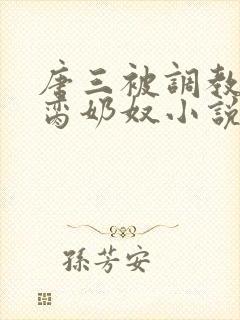 唐三被调教成禁脔奶奴小说