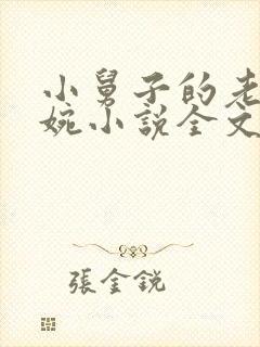 小舅子的老婆苏婉小说全文阅读封面