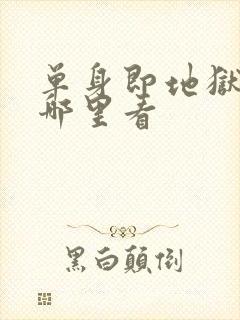 单身即地狱4在哪里看封面