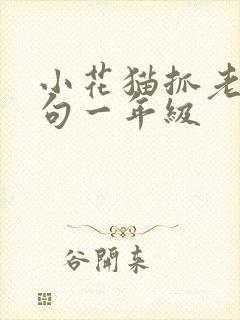 小花猫抓老鼠扩句一年级