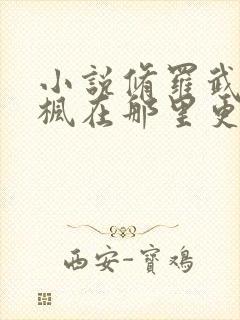 小说修罗武神楚枫在那里更新封面