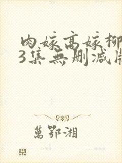 肉嫁高嫁柳嫁家3集无删减版封面