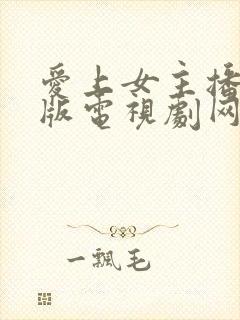 爱上女主播国语版电视剧网盘