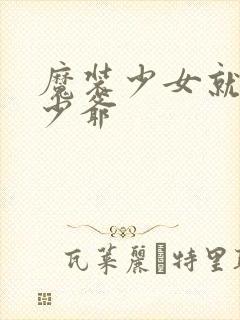 魔装少女就是本少爷