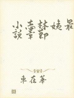 小志林姨最新小说章节