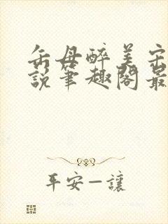 缶母醉美宋城小说笔趣阁最新章节更