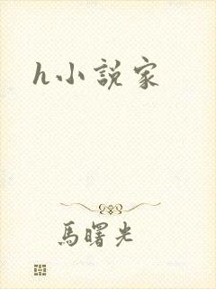 h小说家