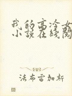 我的高冷女总裁小说在线阅读