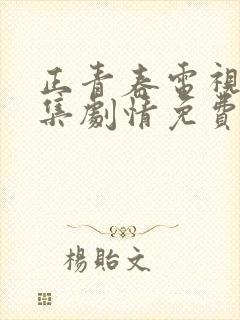 正青春电视剧全集剧情免费封面