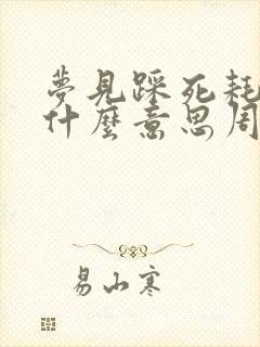 梦见踩死耗子是什么意思周公解梦