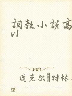 调教小说高h1v1