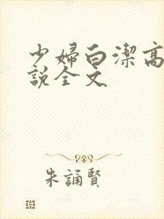 少妇白洁高义小说全文