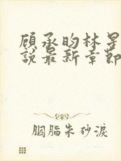 顾承昀林星禾小说最新章节免费阅读