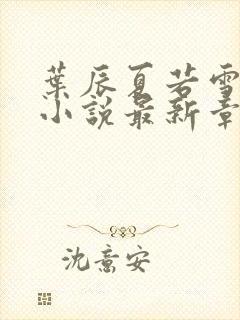 叶辰夏若雪孙怡小说最新章节封面