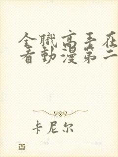 全职高手在线观看动漫第二季