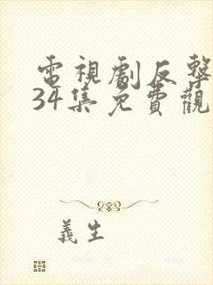 电视剧反击全集34集免费观看pp