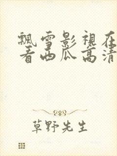 飘雪影视在线观看西瓜高清免费