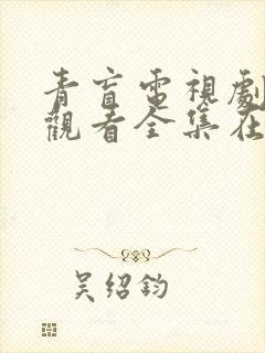 青盲电视剧免费观看全集在线观看封面