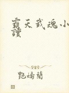 霸天武魂小说阅读封面