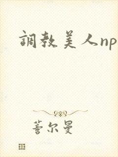 调教美人np文