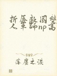 折辱敌国双性美人军师np高h