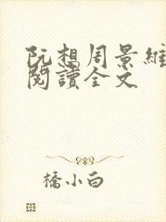 阮想周景维免费阅读全文封面