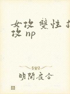 女攻 双性 总攻 np封面