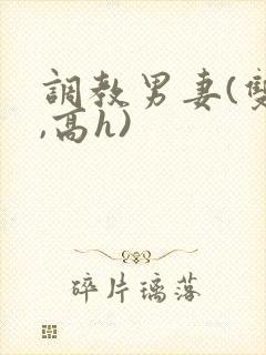 调教男妻(双性,高h)