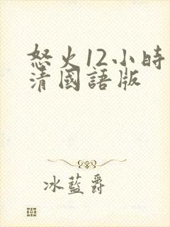 怒火12小时高清国语版