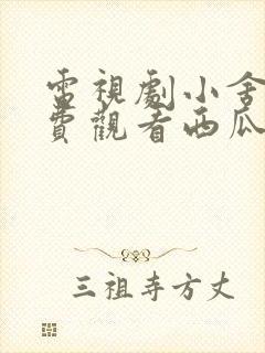 电视剧小舍得免费观看西瓜