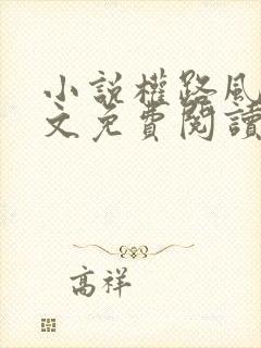 小说权路风云全文免费阅读