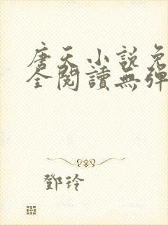 唐天小说免费大全阅读无弹窗