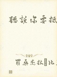 听说你要抵抗我