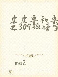 皮皮鲁和鲁西西之309号暗室