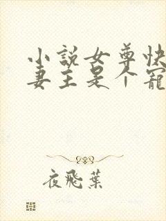 小说女尊快穿之妻主是个宠夫狂