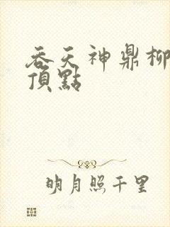 吞天神鼎柳无邪顶点封面