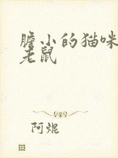 胆小的猫咪猫和老鼠封面