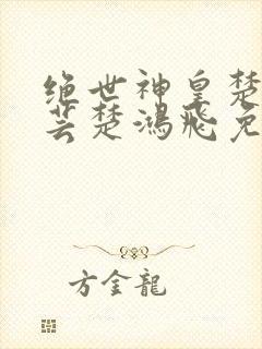 绝世神皇楚风楚芸楚鸿飞免费阅读