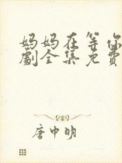 妈妈在等你电视剧全集免费封面