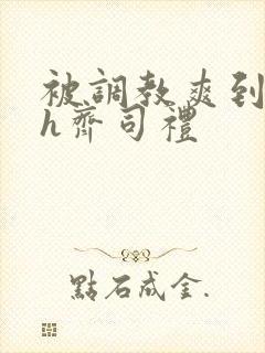 被调教爽到失禁h齐司礼