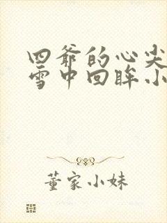 四爷的心尖宠妃雪中回眸小说版免费