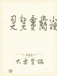 司许乔冉小说全文免费阅读封面