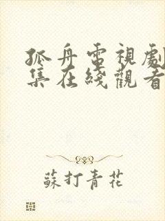 孤舟电视剧40集在线观看免费高清星辰