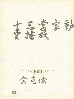 十三当家动漫免费播放