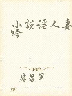 小说淫人妻的呻吟封面