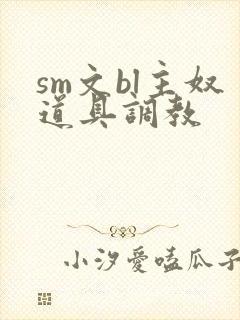 sm文bl主奴道具调教