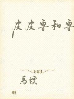 皮皮鲁和鲁西西1封面